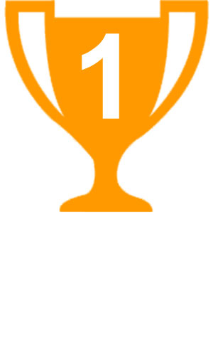 Winners Cup Logo